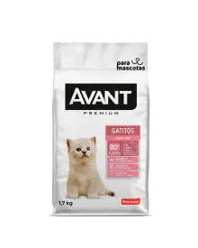 Avant Premium Gatitos