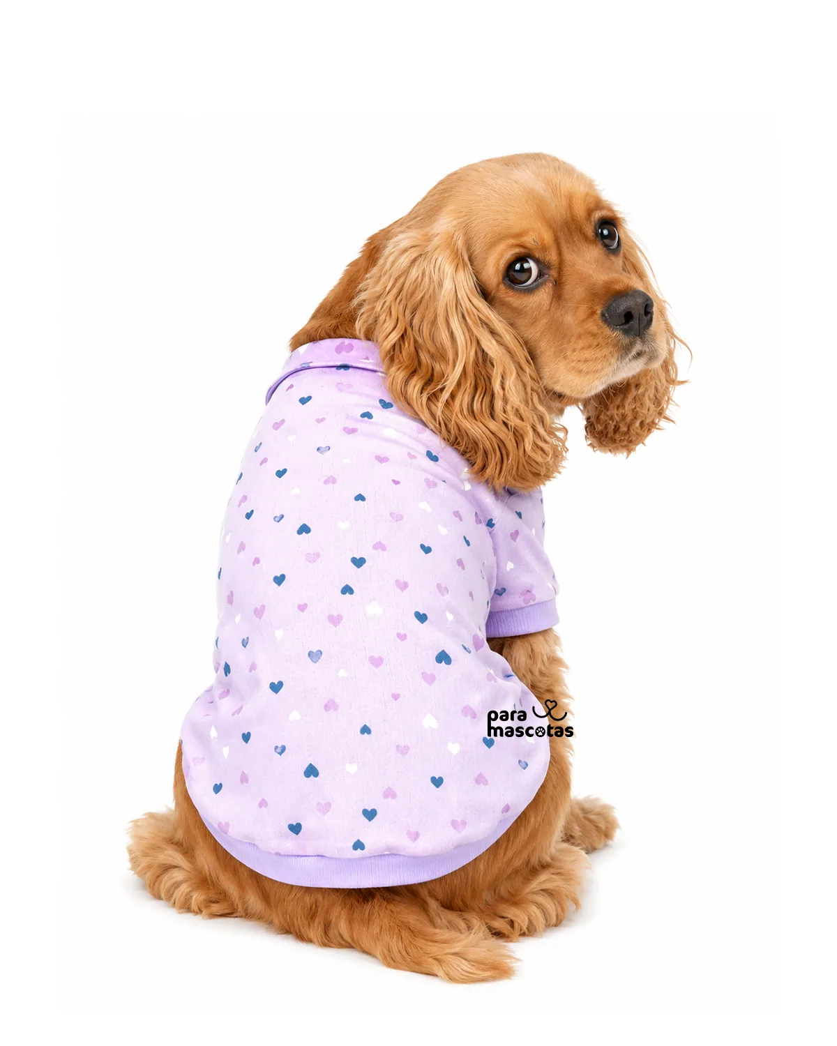 ParaMascotas Camiseta Polo Corazón Morada M Morado ropa Perro imagen de ficha en ParaMascotasEC