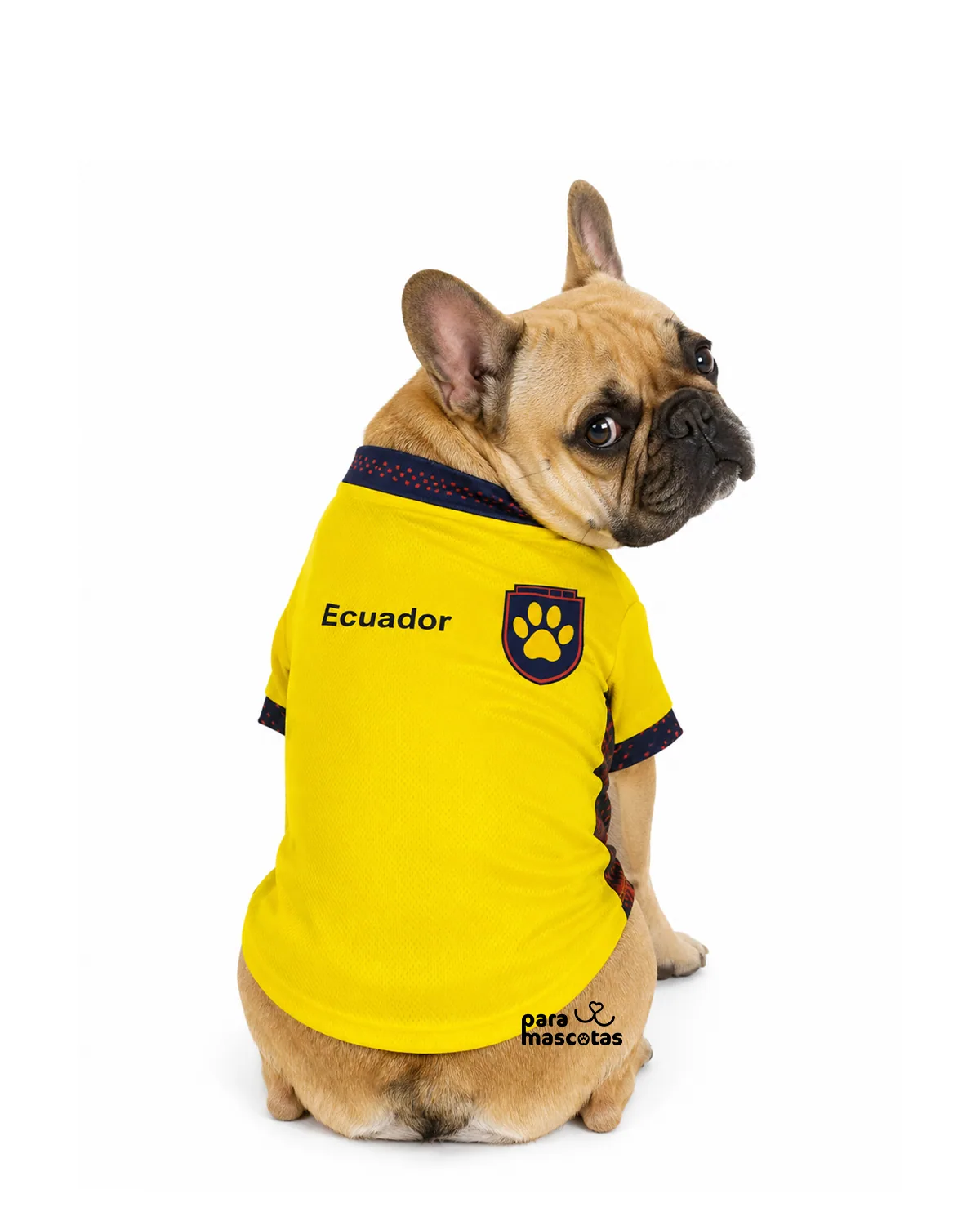 ParaMascotas Camiseta Selección Amarilla S Amarillo ropa Perro imagen de ficha en ParaMascotasEC