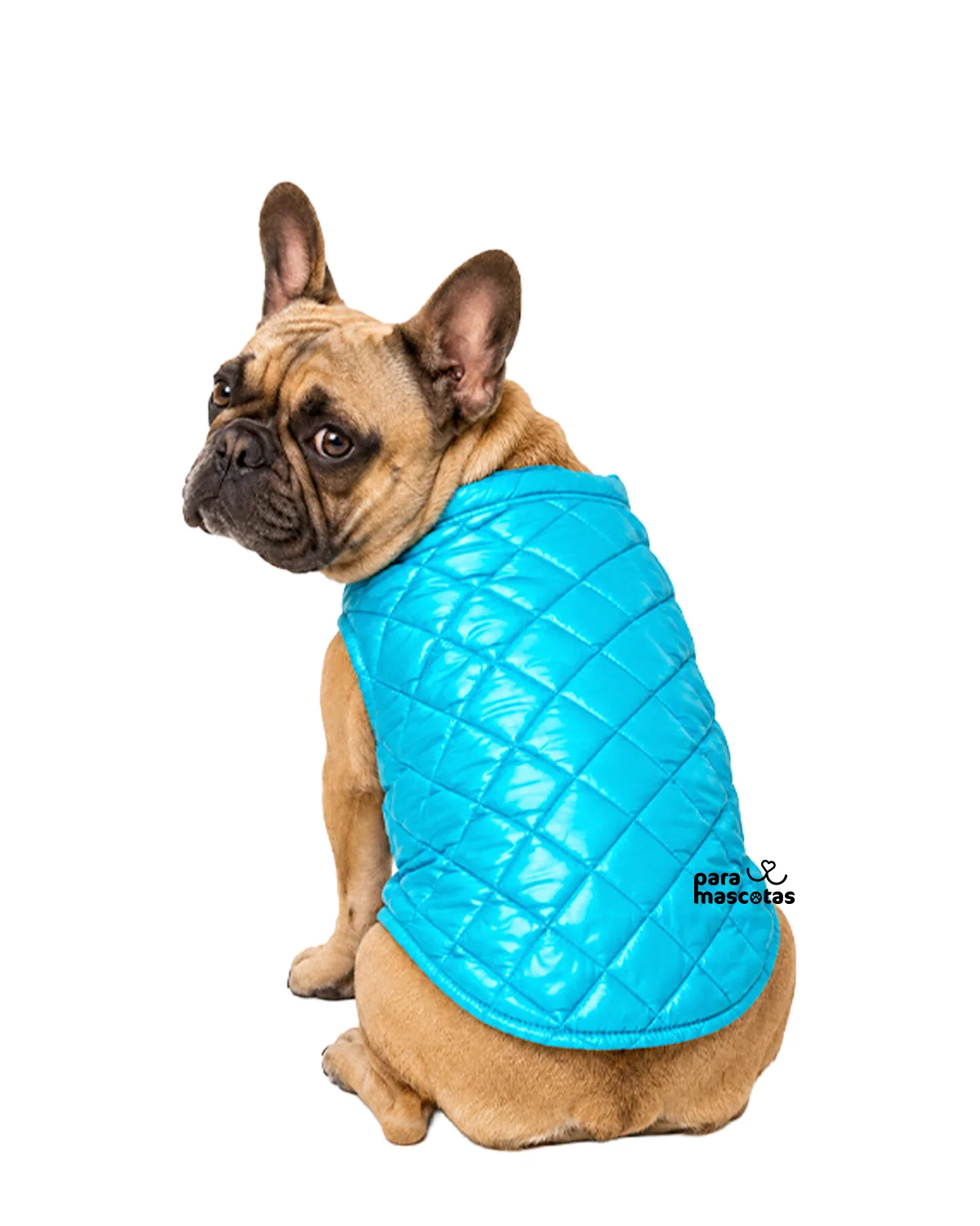 ParaMascotas Chaleco Lazo S Azul ropa Perro imagen de ficha en ParaMascotasEC