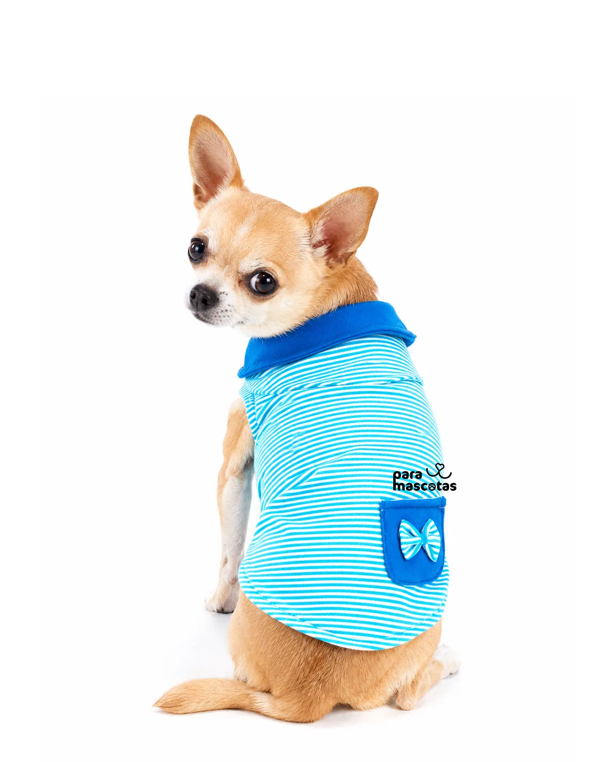 ParaMascotas Chaleco Rayita Azul XS Azul ropa Perro imagen de ficha en ParaMascotasEC