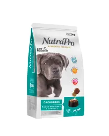 NutraPro NutraPro Cachorros Razas Medianas y Grandes Bolsa Alimento Perro miniatura en ParaMascotasEC
