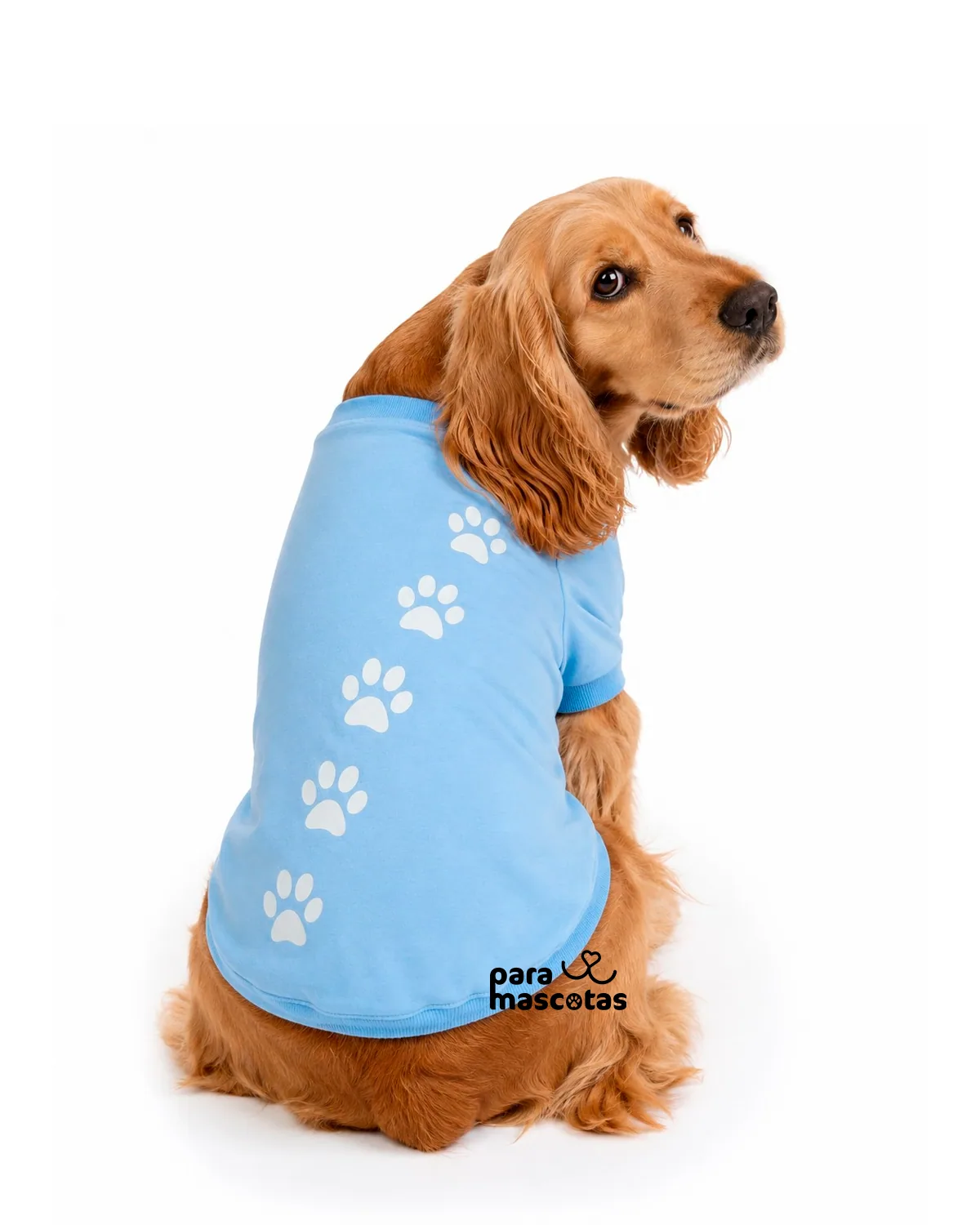 Misha Fashion Pets Camiseta Huellitas Azul Ropa Perro imagen de ficha en ParaMascotasEC